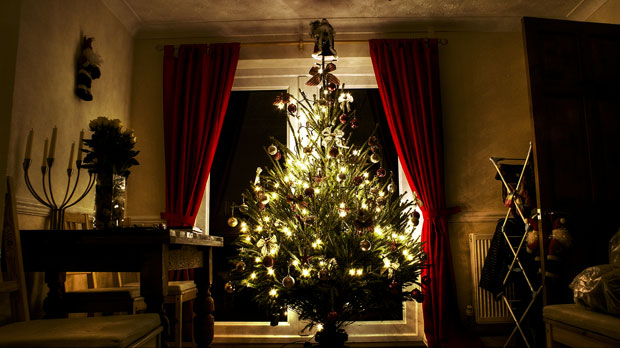 O Christmas Tree…Ye Real or Faux