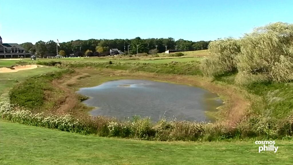 Danielle Kousoulis Golf Tournament Raises Scholarships