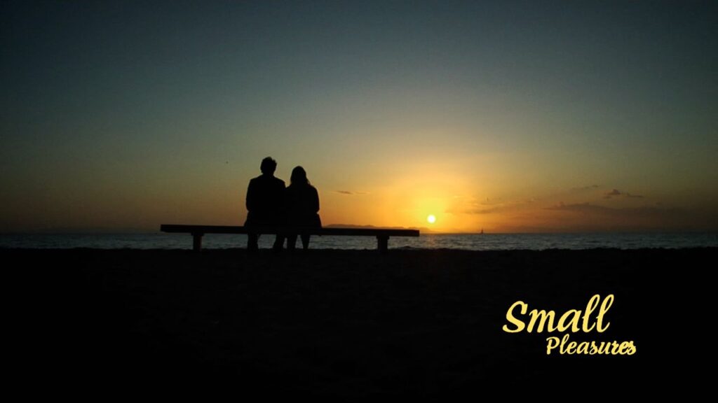Small Pleasures (Μικρές Χαρές)