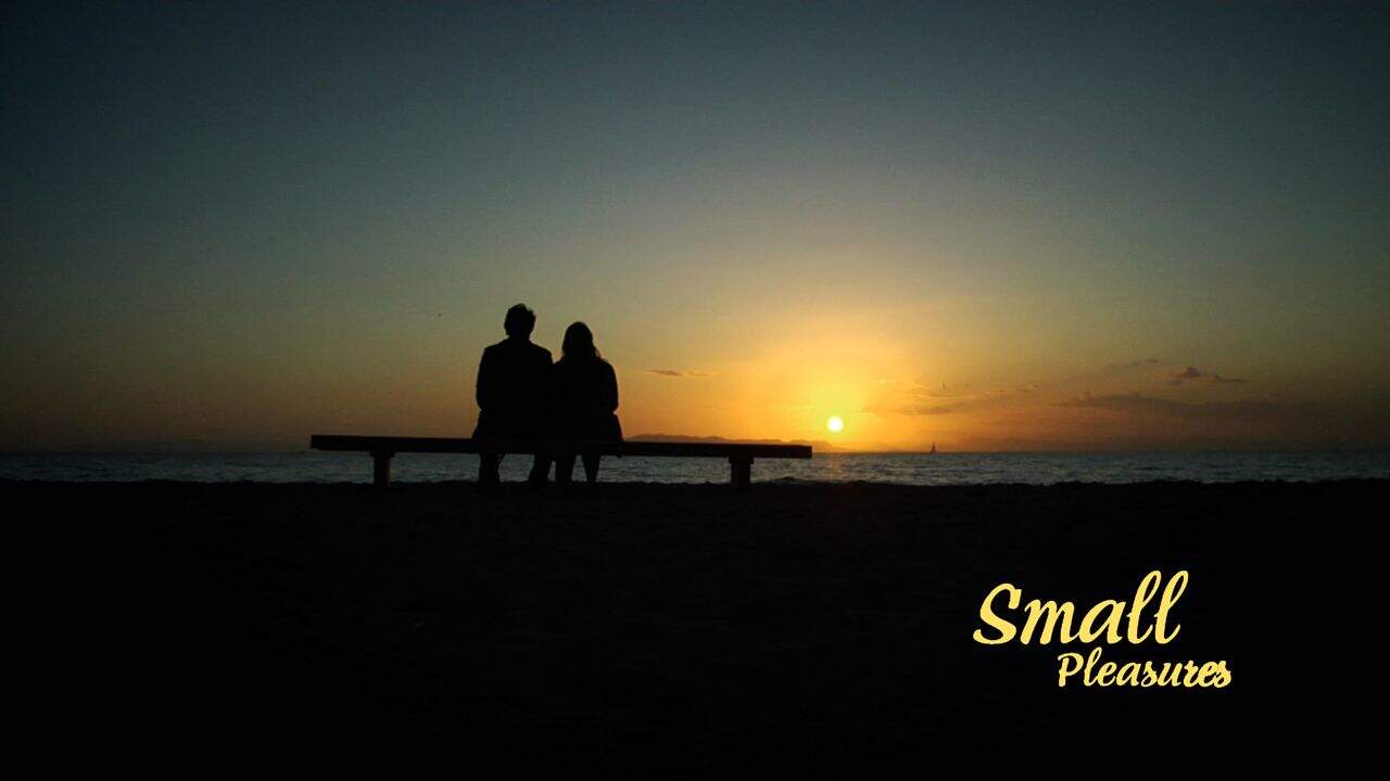 Small Pleasures (Μικρές Χαρές)