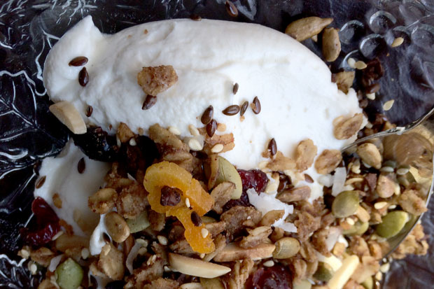 Granola-Best-Ever-Recipe-Pics-013-e1398442314215