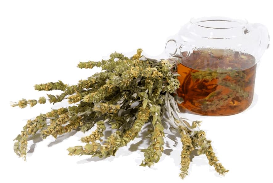 Greek Mountain Tea as a part of the healthful Mediterranean diet