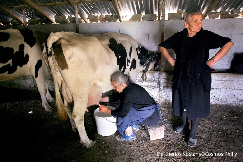 Kozani, Greece, 2007