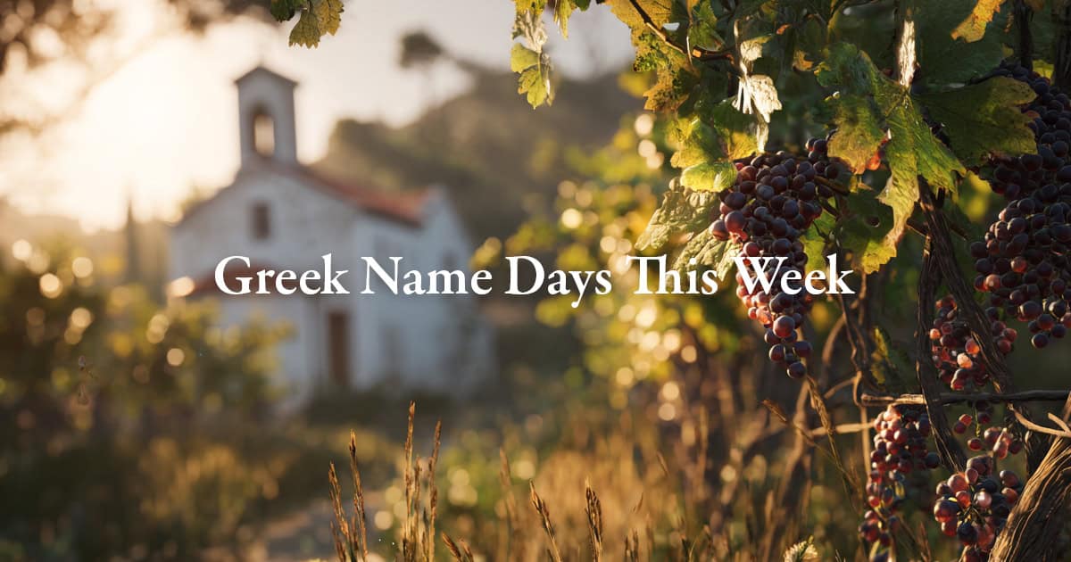 Early September Greek vineyard with ripe grapes and small church in background