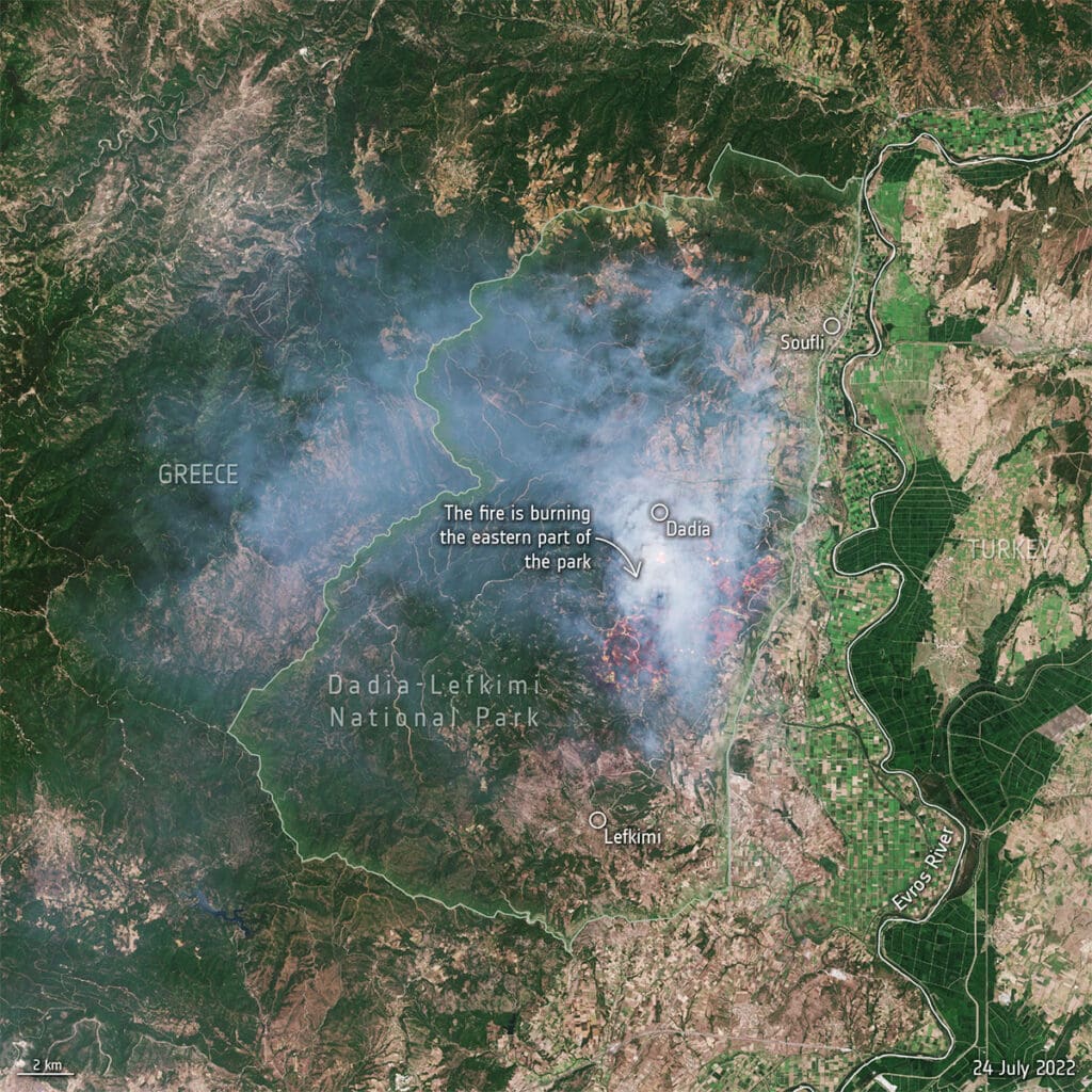 Satellite image showing active wildfire smoke and burn scars in Dadia Lefkimi National Park, Greece, with nearby towns and the Evros River labeled. Captured by Copernicus Sentinel-2 on 24 July 2022.