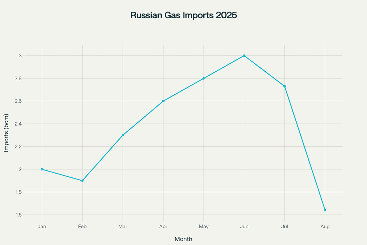 Monthly Russian Gas Imports in 2025