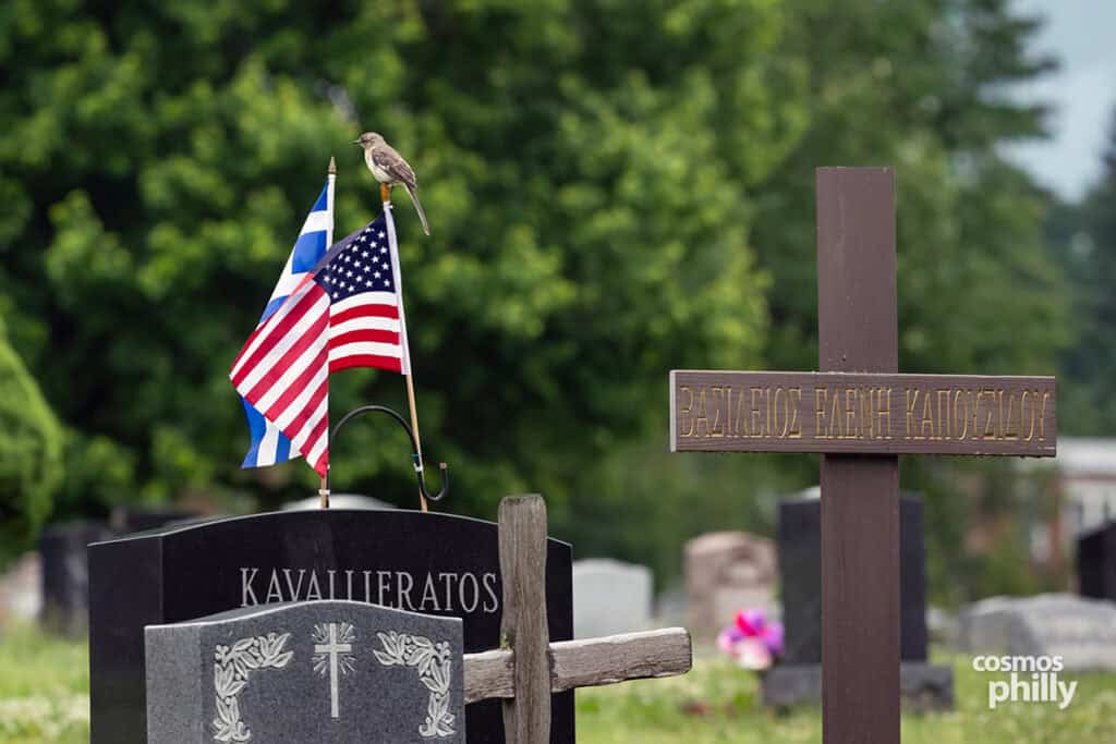 Greek American VFW Post Eleftheria members, veterans, and guests gather for a Memorial Day service at Fernwood Cemetery in Lansdowne, Pennsylvania, in 2026