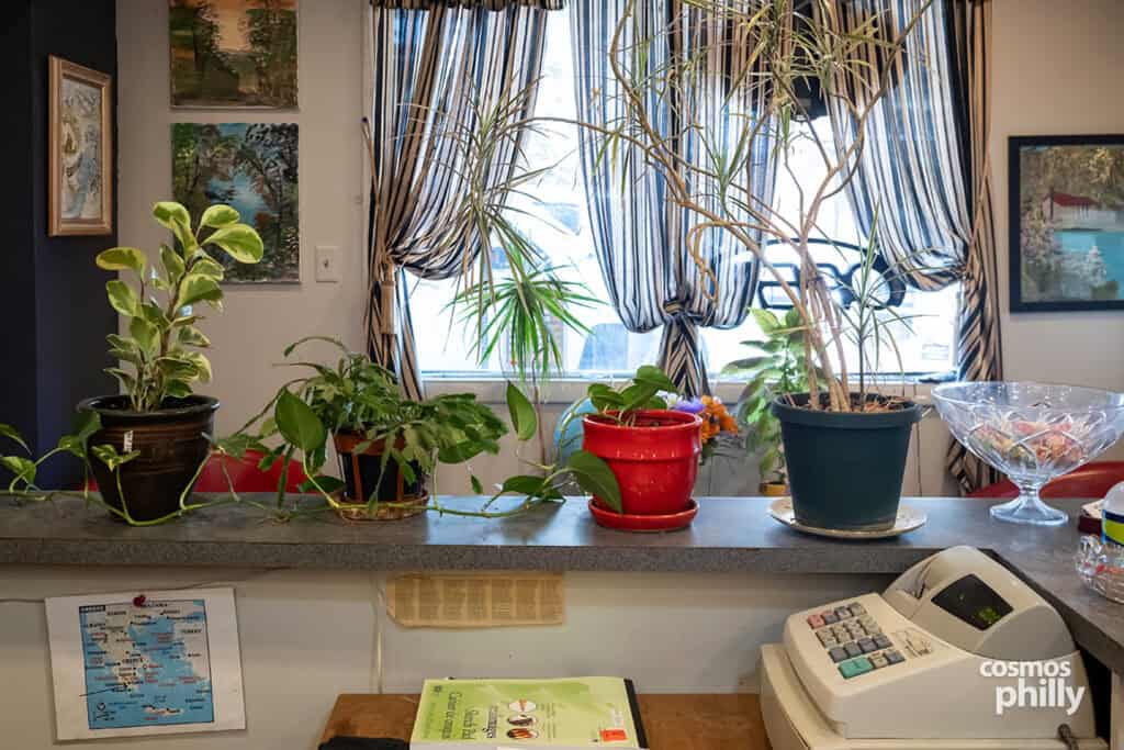 Plants, a cash register, a map of Greece, and paintings near the window inside Giota’s Barbershop in Media.