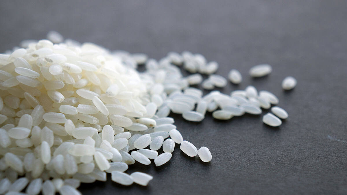Greek Wedding Rice Campaign Wins Greece’s First Cannes Lions Grand Prix