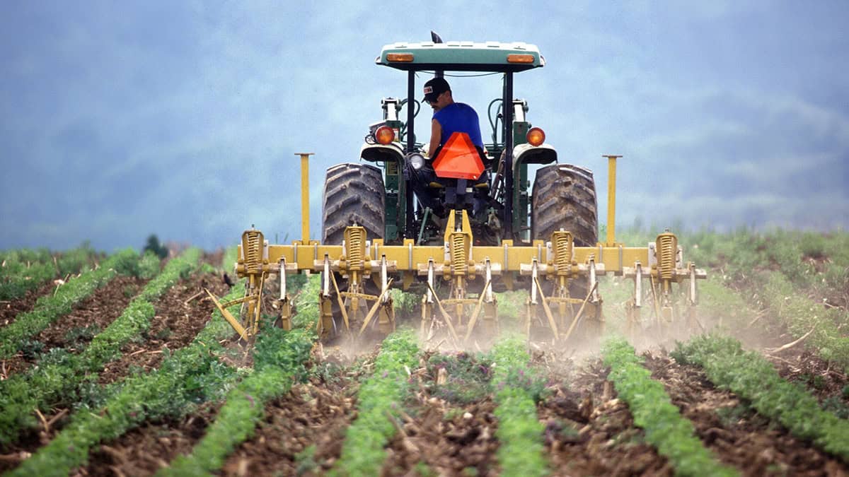 A farmer operates a tractor in a cultivated field.